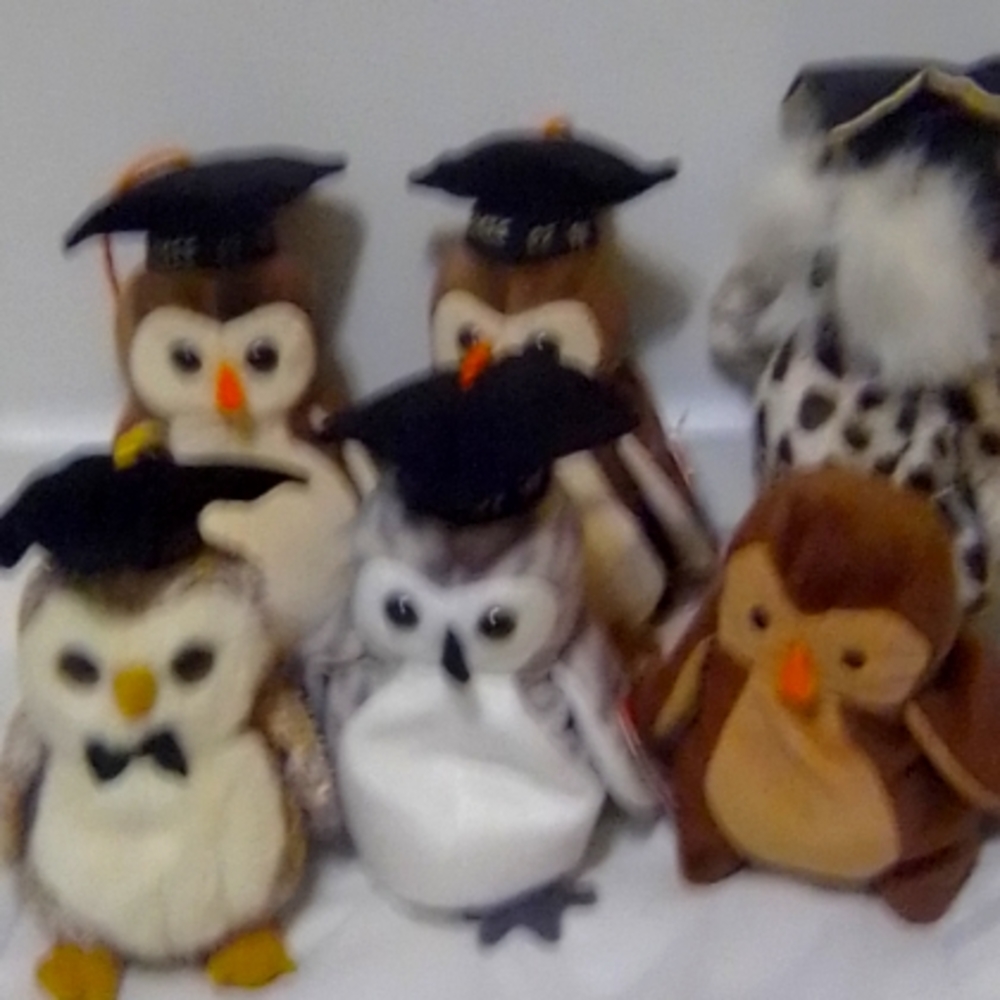 TY beanie baby set